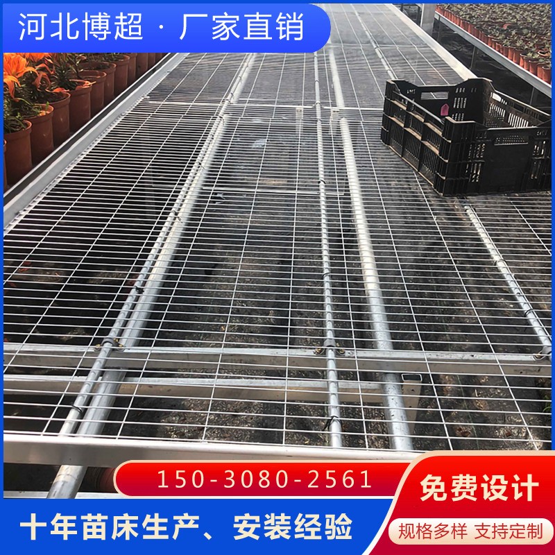 \W(wng)ƬvƄ(dng)紲