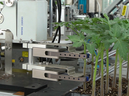 ȫԄ(dng)紲䲥NC(j)ѨP(pn)봲C(j)